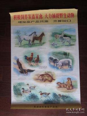 文革宣传画中的生态悖论 积极饲养与大力捕捉的双重逻辑
